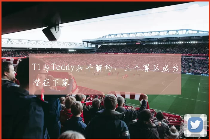 T1与Teddy和平解约，三个赛区成为潜在下家