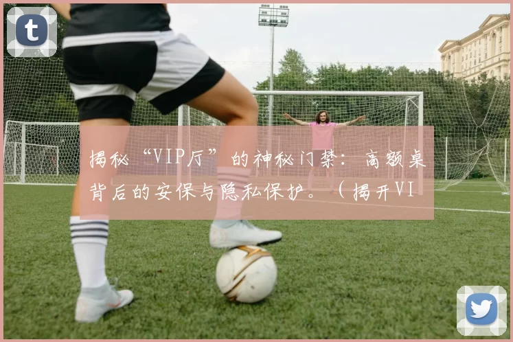 揭秘“VIP厅”的神秘门禁：高额桌背后的安保与隐私保护。（揭开VIP厅门禁之谜：高额桌的安保机制与隐私防线）