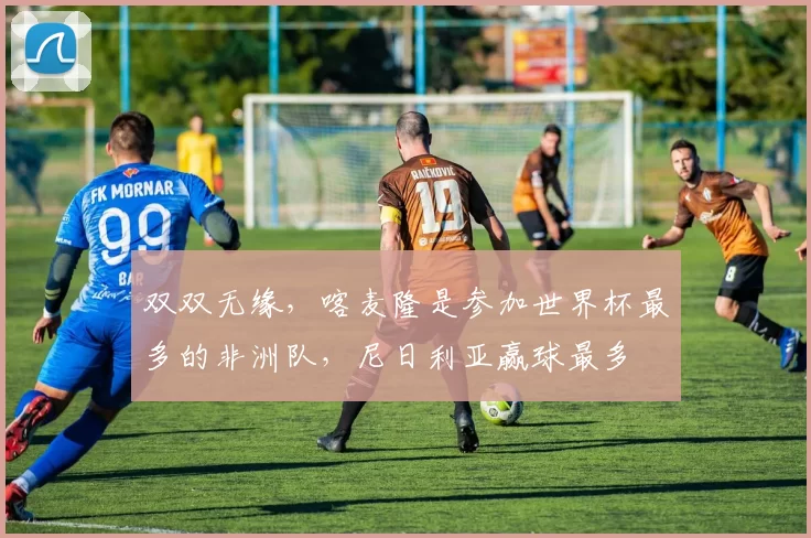 双双无缘，喀麦隆是参加世界杯最多的非洲队，尼日利亚赢球最多