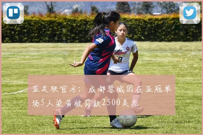 亚足联官方：成都蓉城因在亚冠单场5人染黄被罚款2500美元