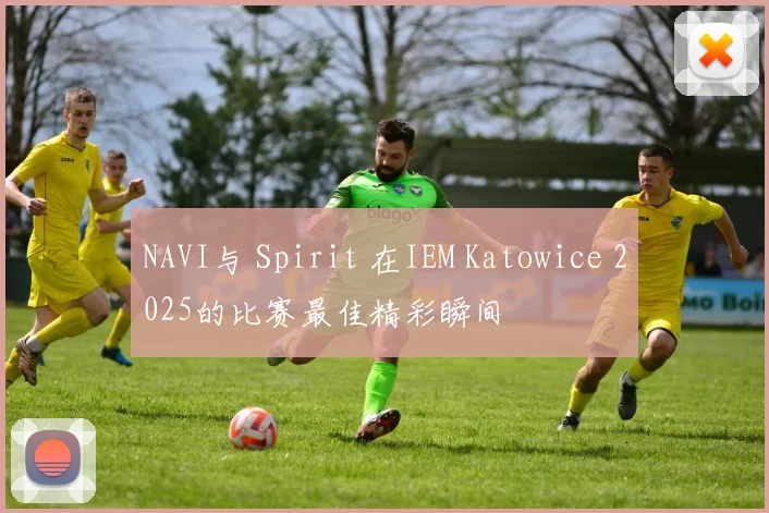 NAVI与 Spirit 在IEM Katowice 2025的比赛最佳精彩瞬间