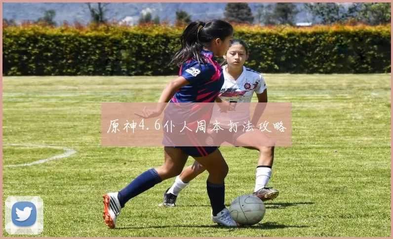 原神4.6仆人周本打法攻略