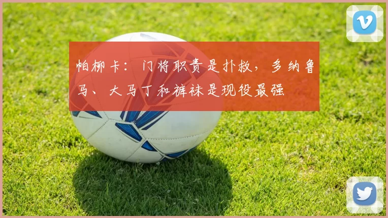 帕柳卡：门将职责是扑救，多纳鲁马、大马丁和裤袜是现役最强